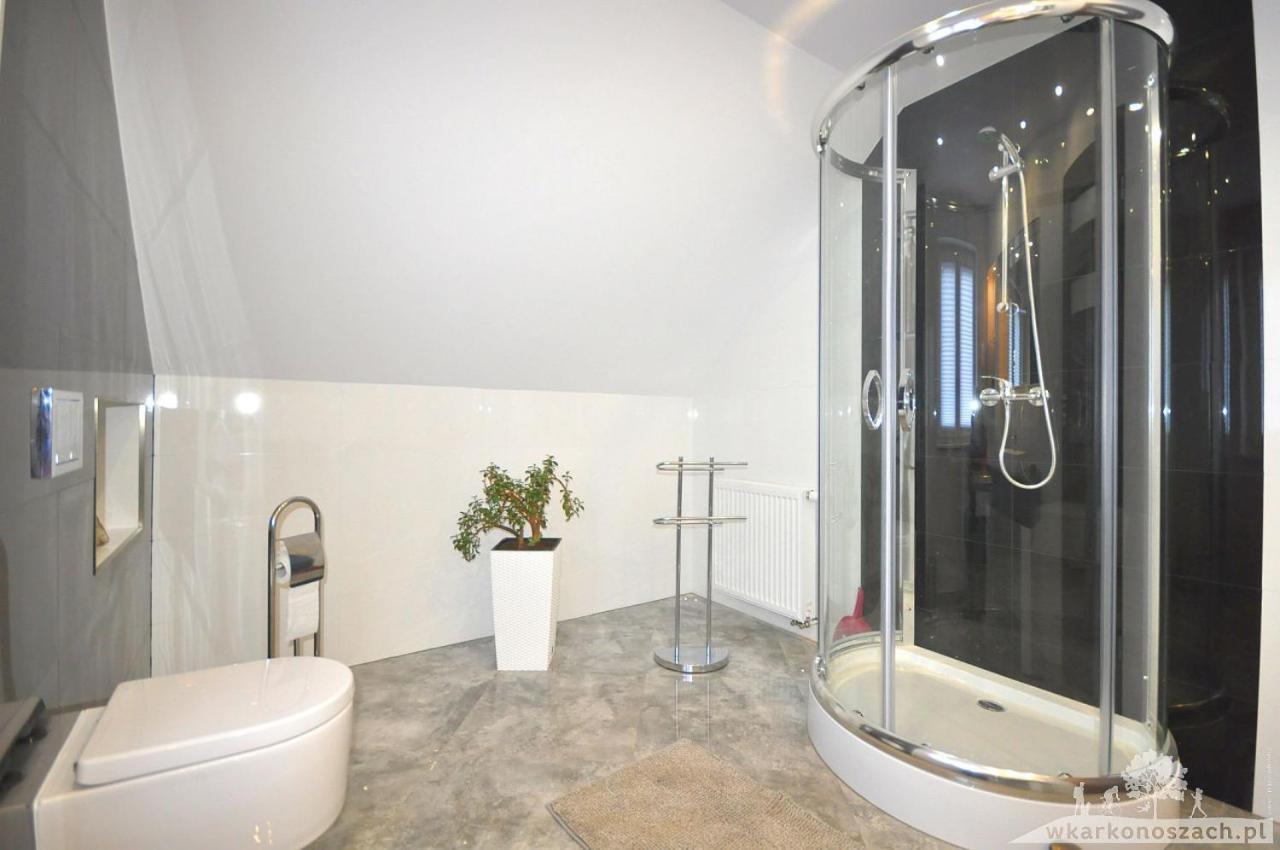 Waldi Apartament Cieplice Еленя-Гура Экстерьер фото