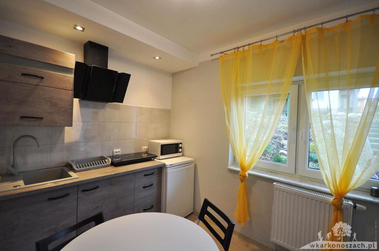 Waldi Apartament Cieplice Еленя-Гура Экстерьер фото